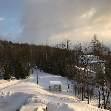 Bellevue Apartments Vila Vlasta Stary Smokovec Vysoké Tatry エクステリア 写真