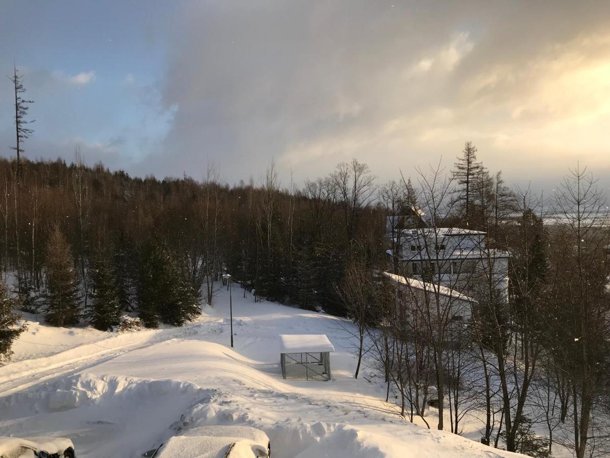 Bellevue Apartments Vila Vlasta Stary Smokovec Vysoké Tatry エクステリア 写真
